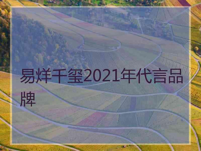 易烊千玺2021年代言品牌