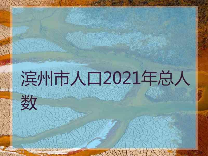 滨州市人口2021年总人数