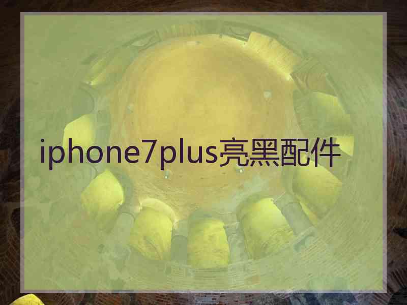 iphone7plus亮黑配件