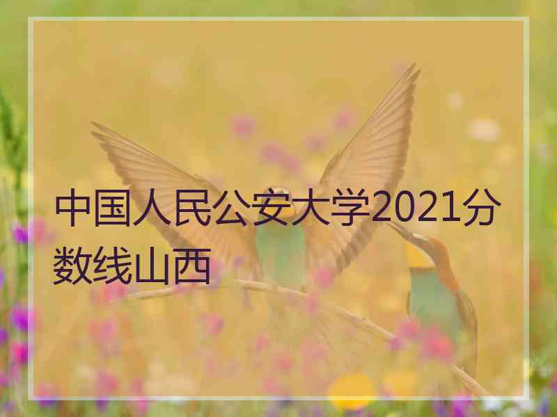 中国人民公安大学2021分数线山西