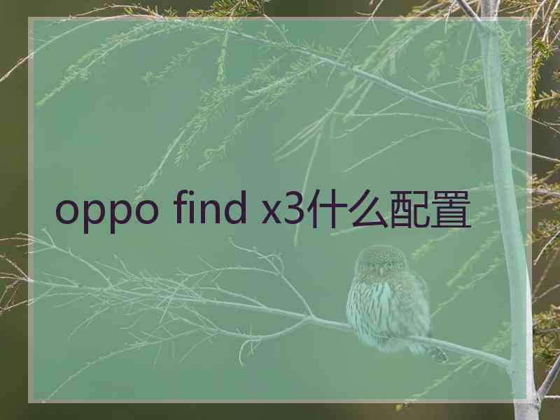 oppo find x3什么配置