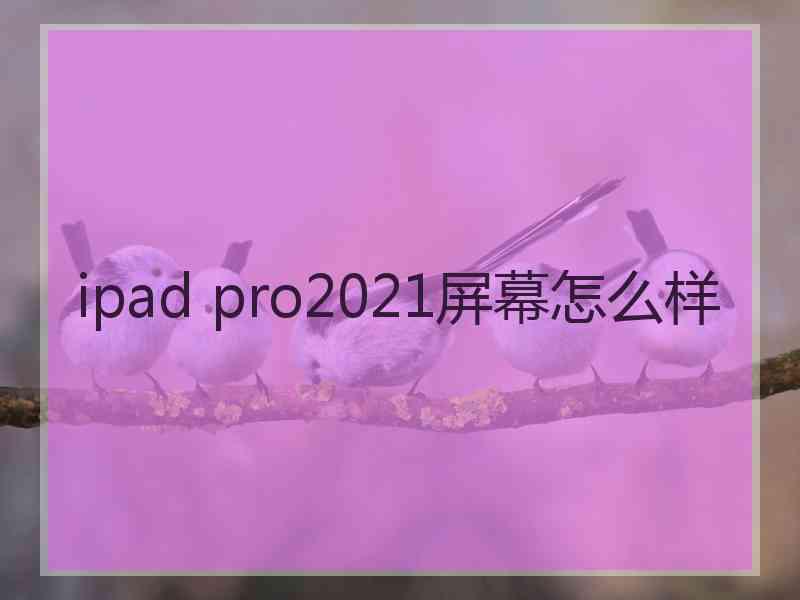 ipad pro2021屏幕怎么样