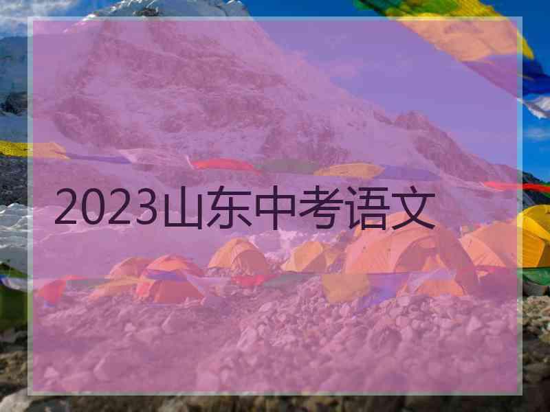 2023山东中考语文