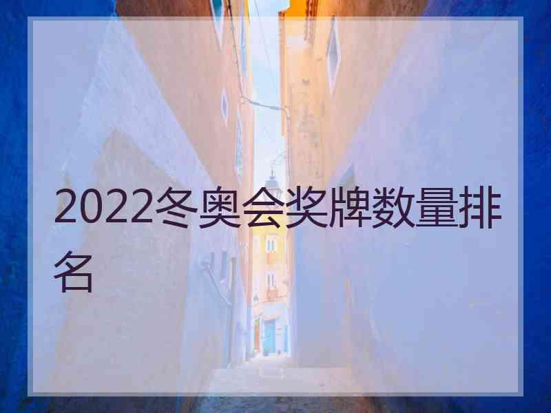 2022冬奥会奖牌数量排名