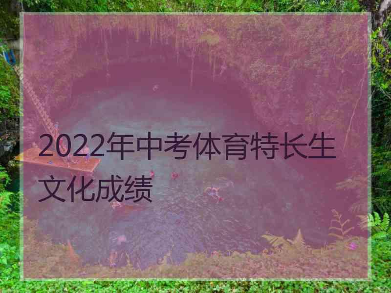 2022年中考体育特长生文化成绩