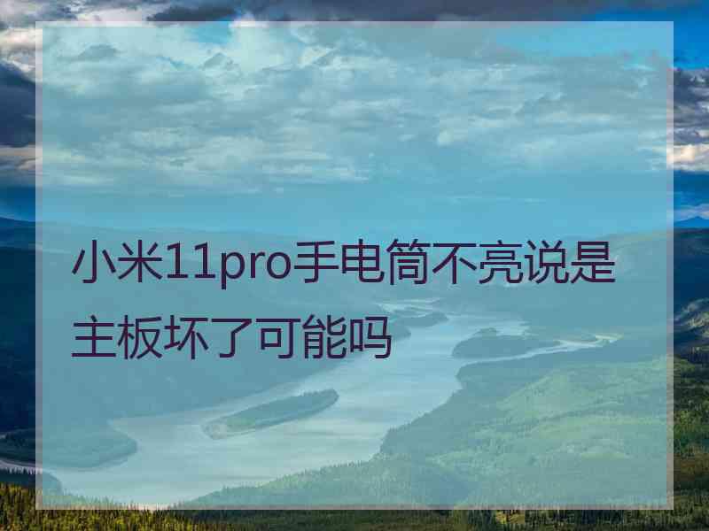 小米11pro手电筒不亮说是主板坏了可能吗