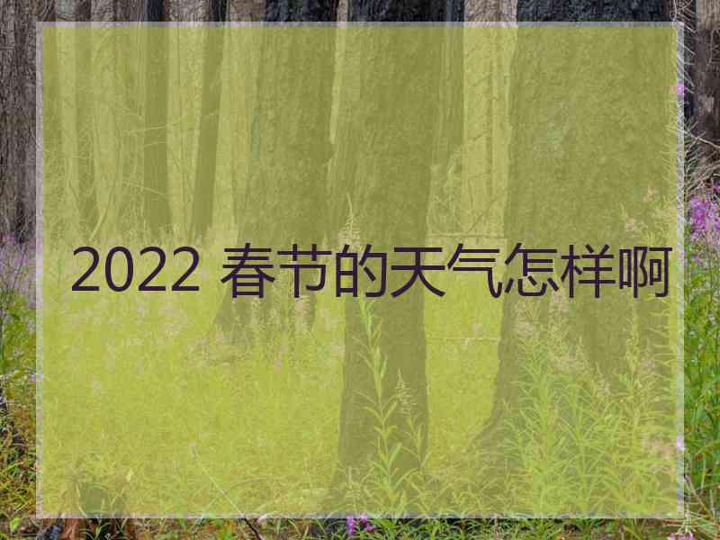 2022 春节的天气怎样啊