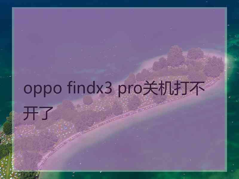 oppo findx3 pro关机打不开了