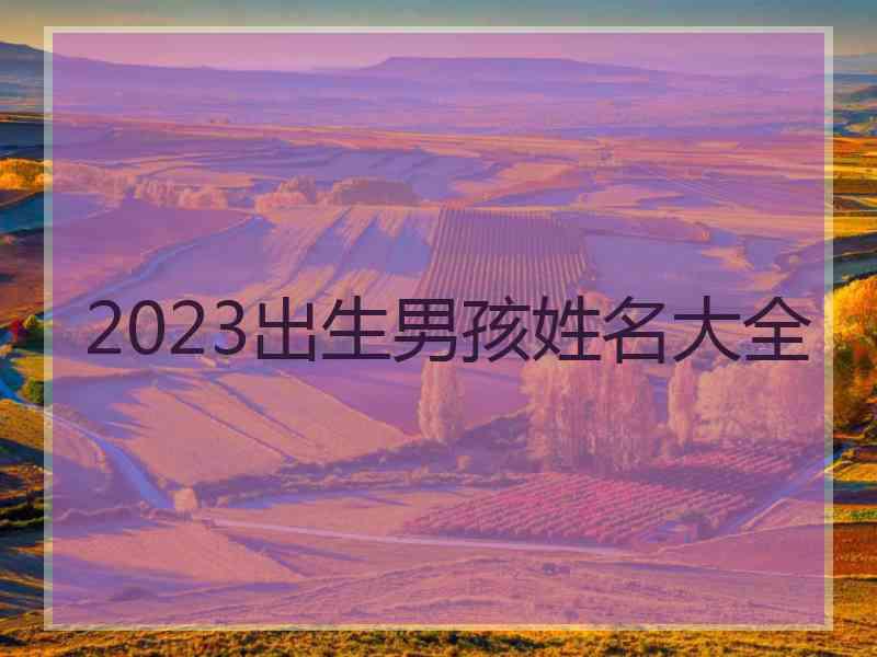 2023出生男孩姓名大全