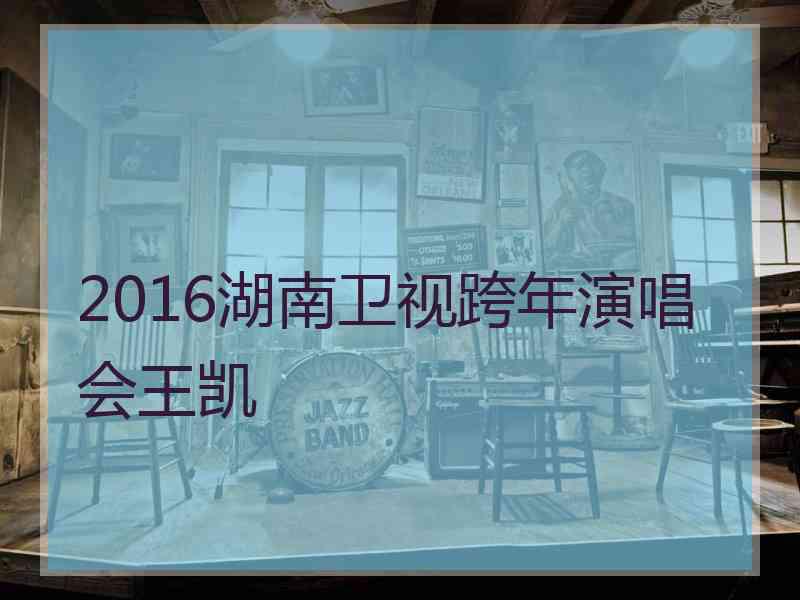 2016湖南卫视跨年演唱会王凯