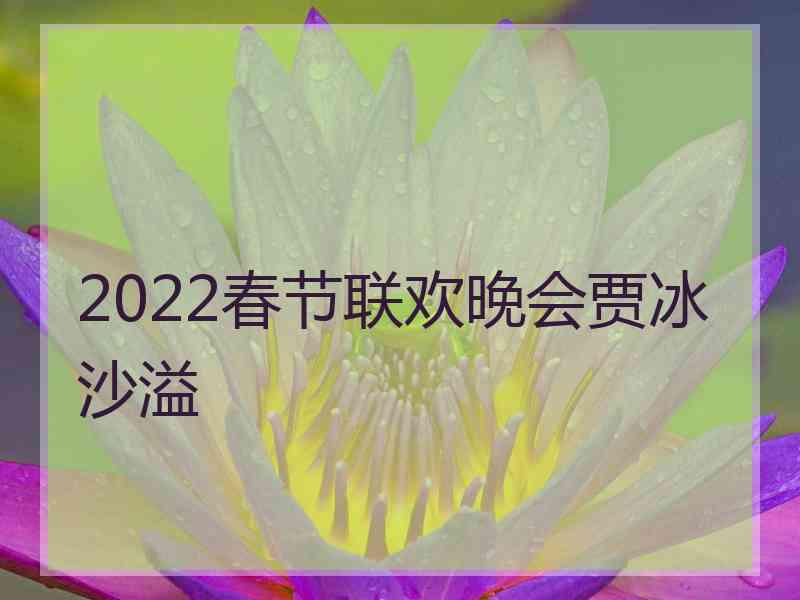 2022春节联欢晚会贾冰沙溢