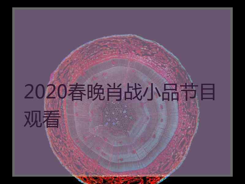 2020春晚肖战小品节目观看