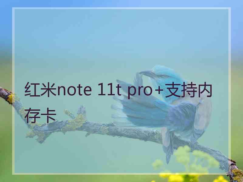 红米note 11t pro+支持内存卡