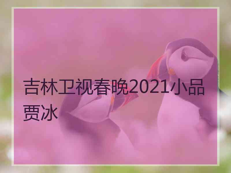 吉林卫视春晚2021小品贾冰