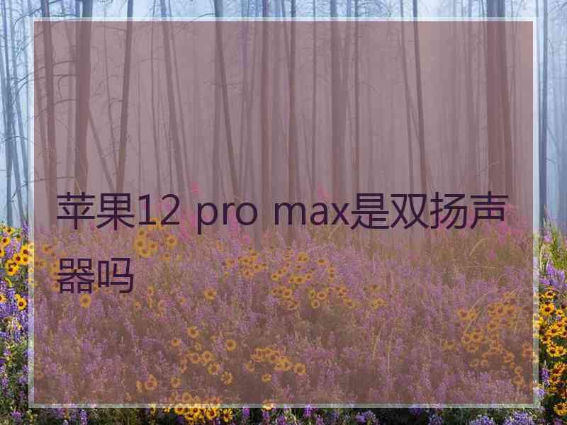 苹果12 pro max是双扬声器吗