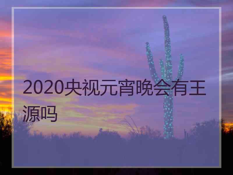 2020央视元宵晚会有王源吗