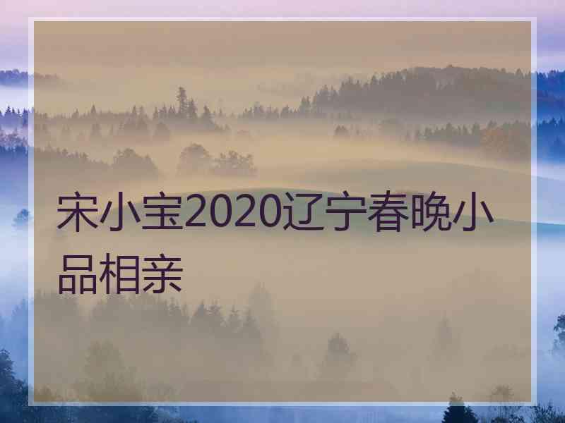 宋小宝2020辽宁春晚小品相亲