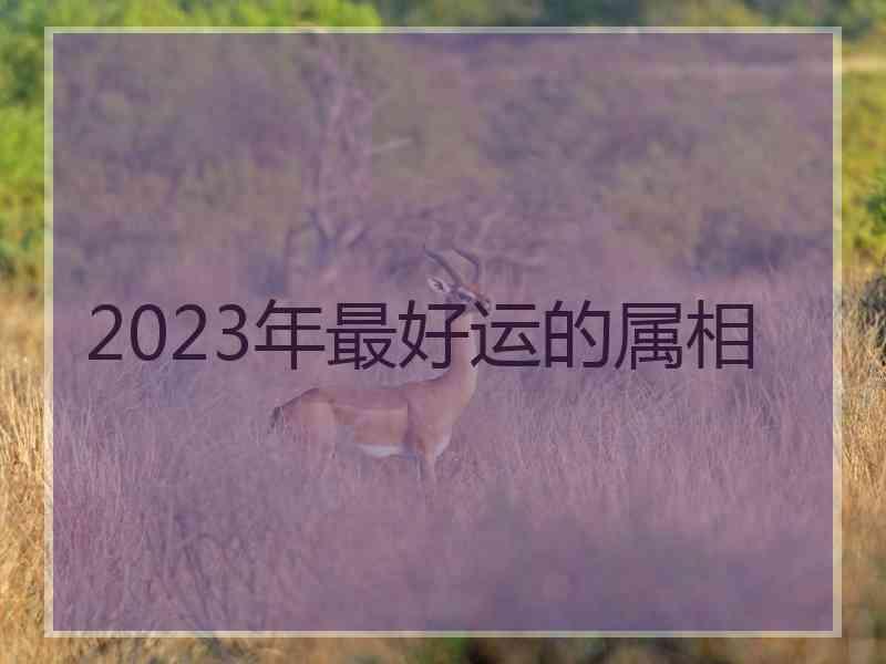 2023年最好运的属相