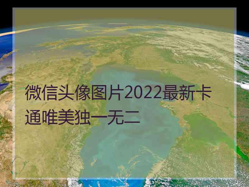 微信头像图片2022最新卡通唯美独一无二