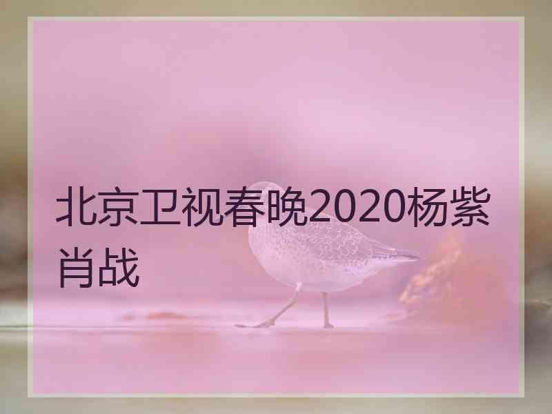 北京卫视春晚2020杨紫肖战