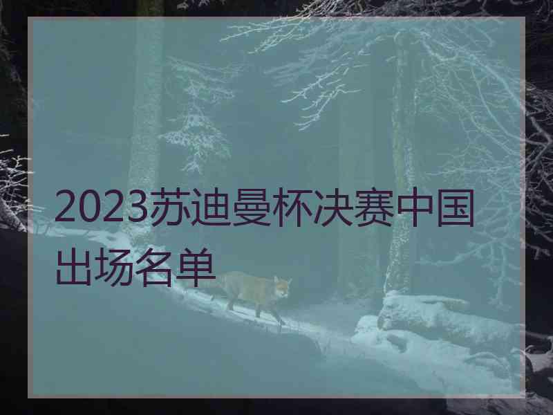 2023苏迪曼杯决赛中国出场名单