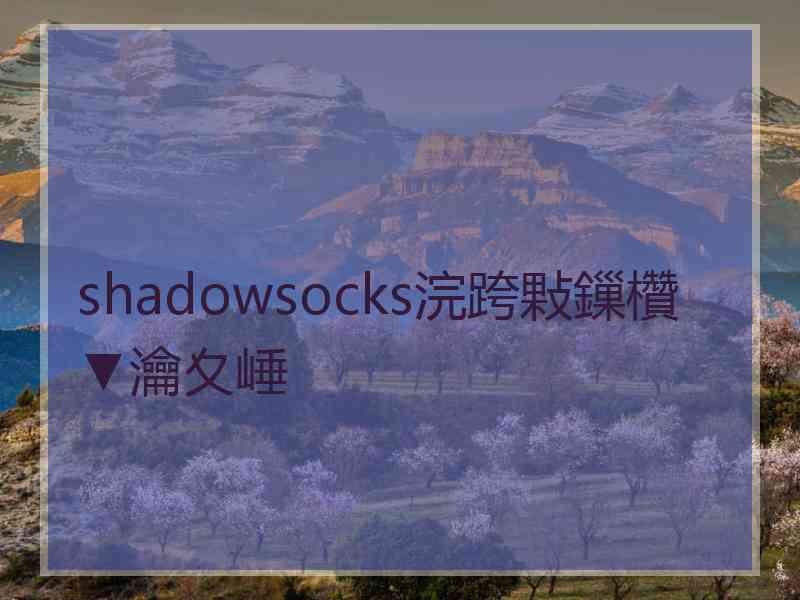 shadowsocks浣跨敤鏁欑▼瀹夊崜