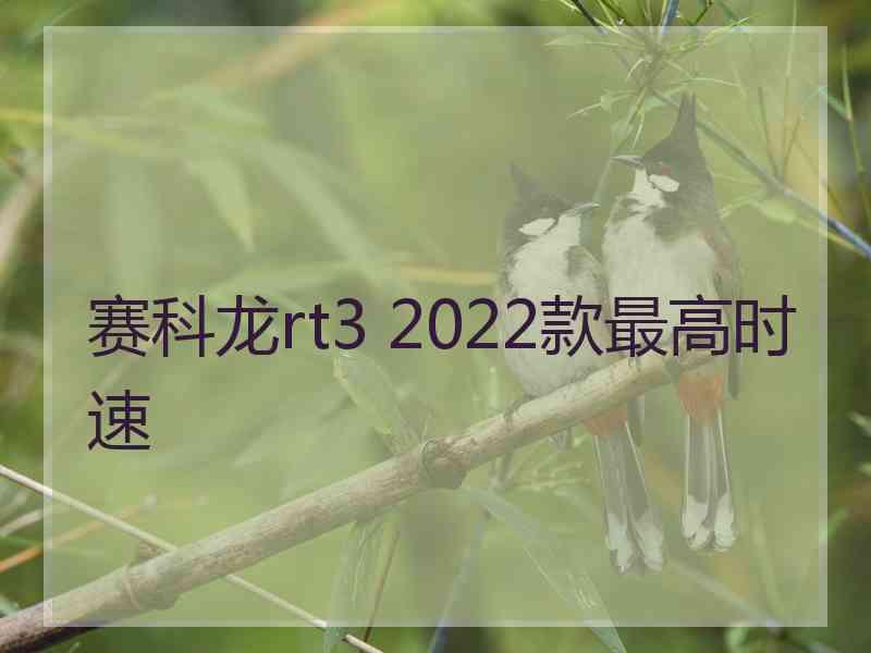 赛科龙rt3 2022款最高时速