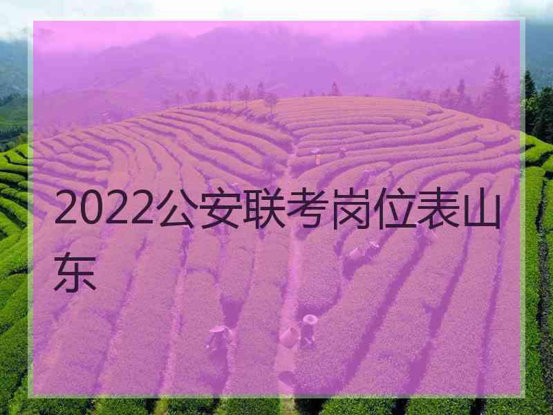 2022公安联考岗位表山东