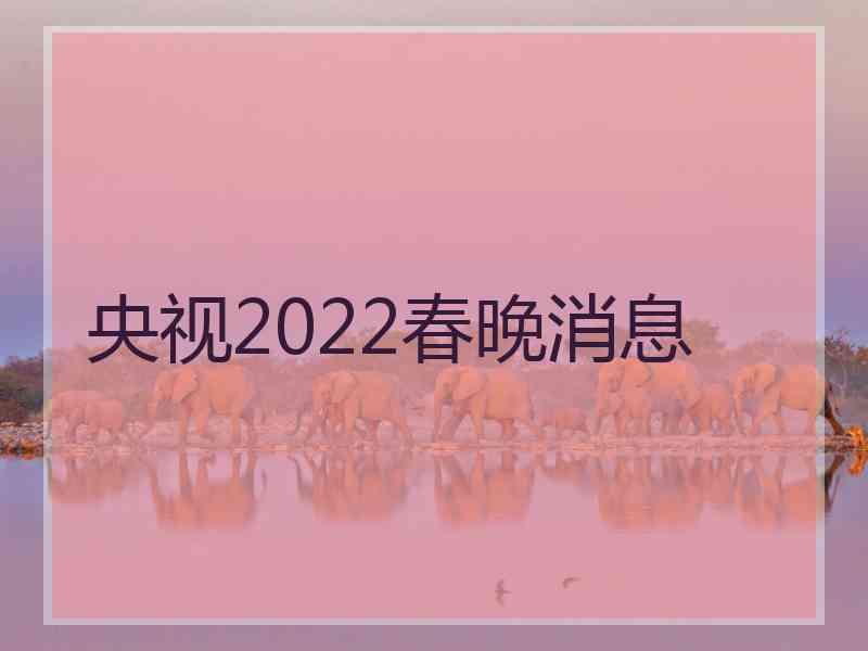 央视2022春晚消息