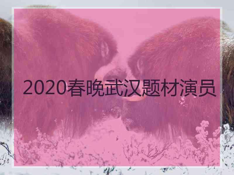 2020春晚武汉题材演员