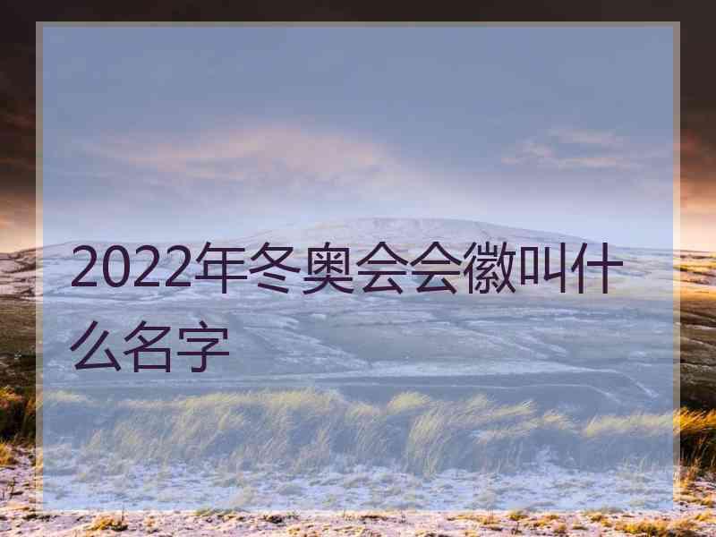 2022年冬奥会会徽叫什么名字