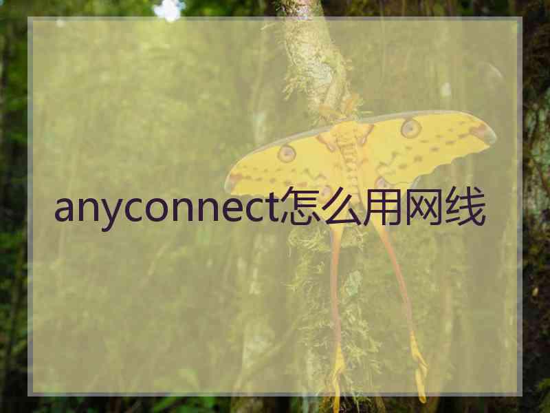 anyconnect怎么用网线