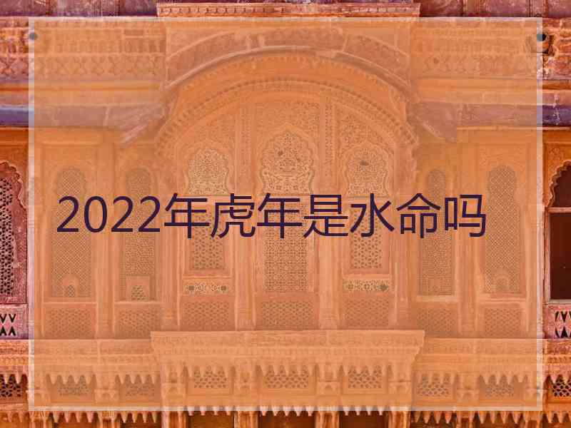 2022年虎年是水命吗