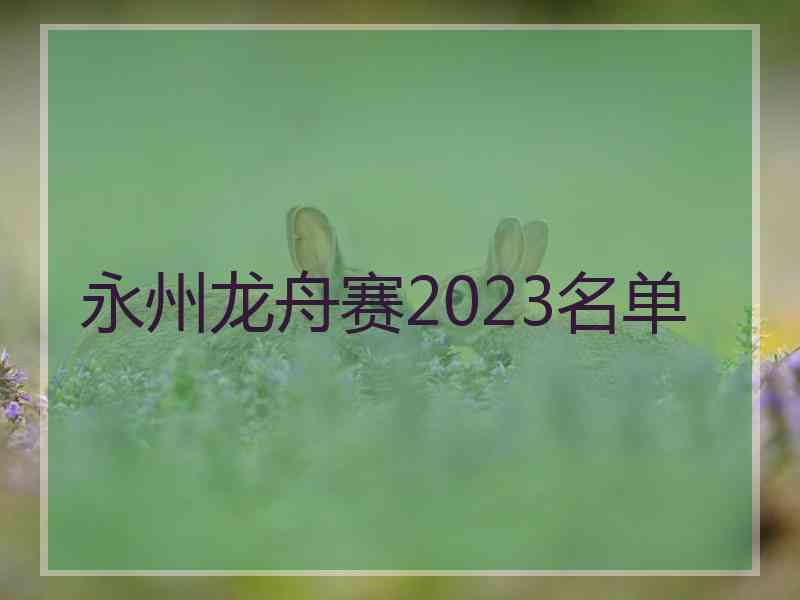 永州龙舟赛2023名单