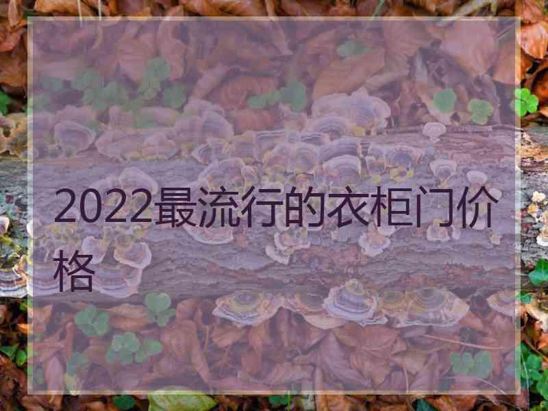 2022最流行的衣柜门价格