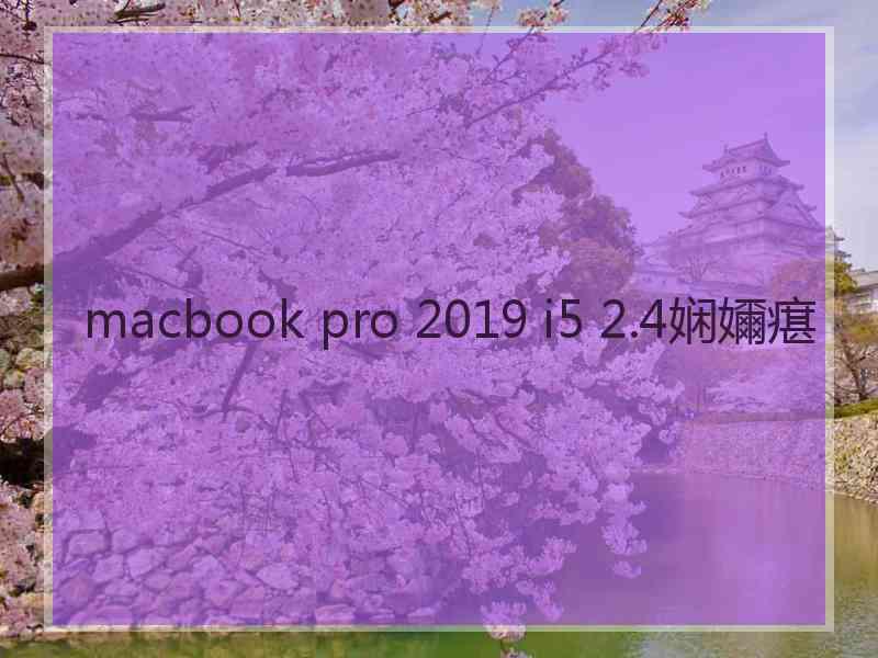 macbook pro 2019 i5 2.4娴嬭瘎