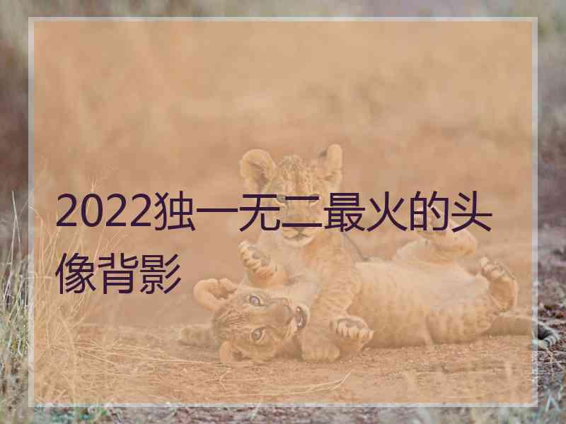 2022独一无二最火的头像背影