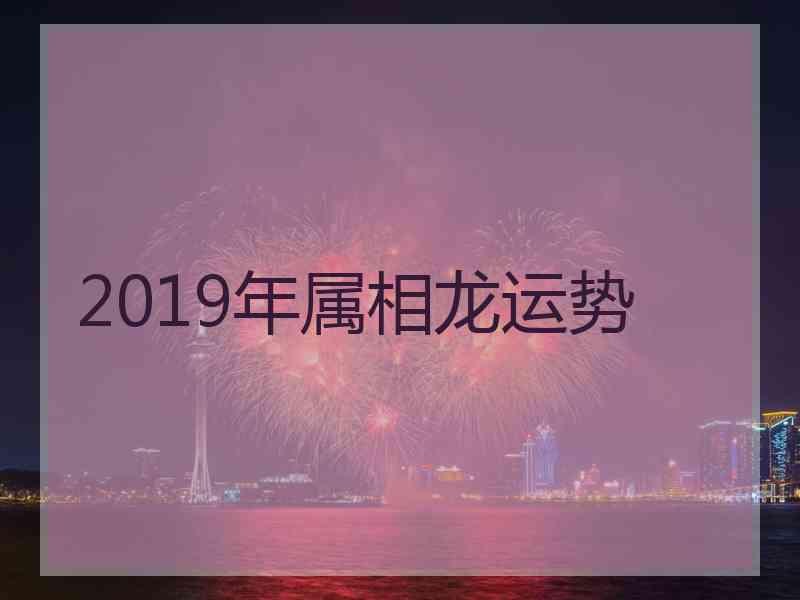 2019年属相龙运势