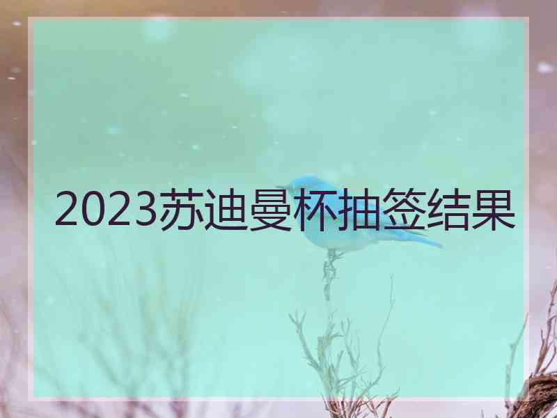 2023苏迪曼杯抽签结果