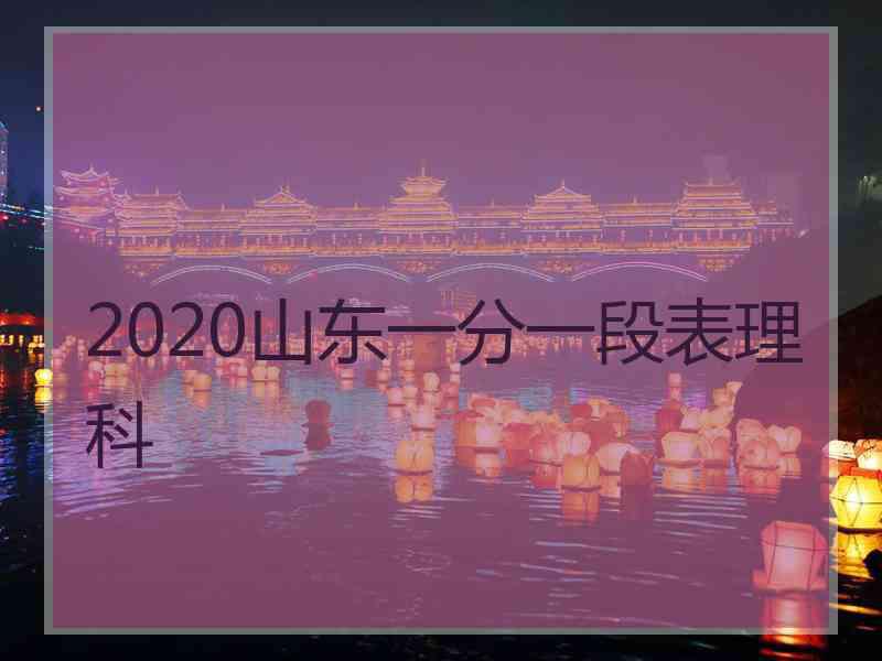 2020山东一分一段表理科