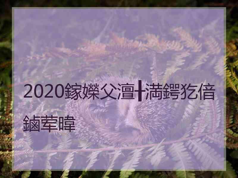 2020鎵嬫父澶╂満鍔犵偣鏀荤暐