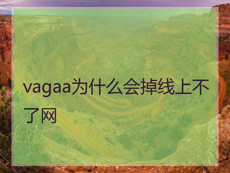 vagaa为什么会掉线上不了网