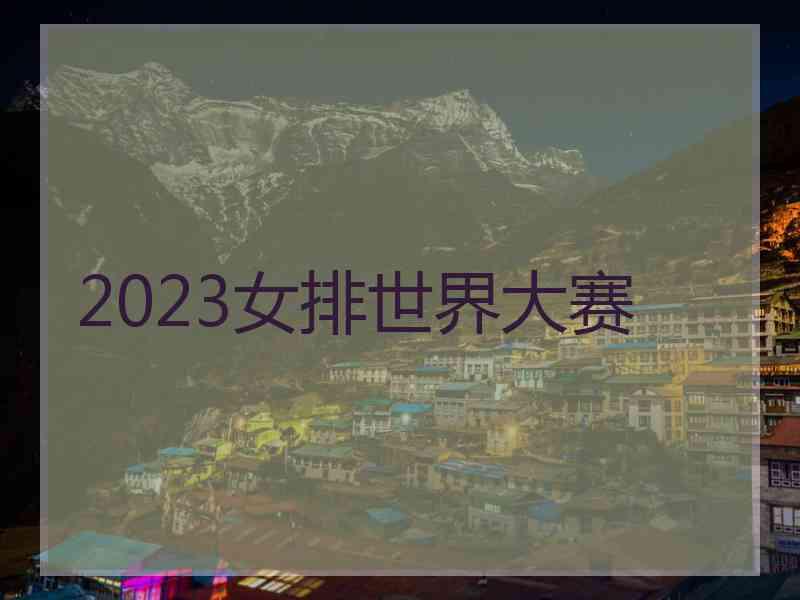 2023女排世界大赛