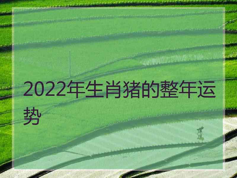 2022年生肖猪的整年运势