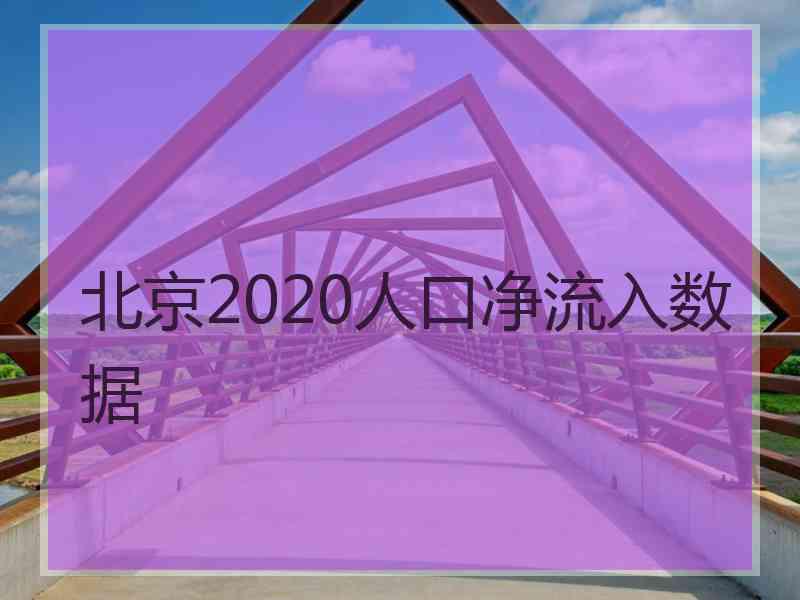 北京2020人口净流入数据