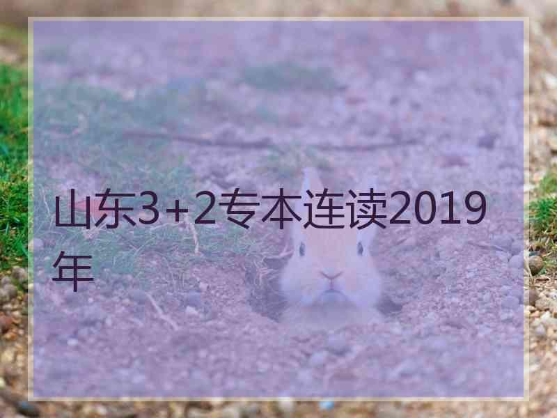 山东3+2专本连读2019年