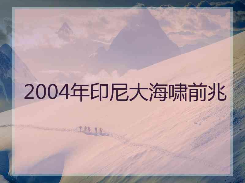 2004年印尼大海啸前兆