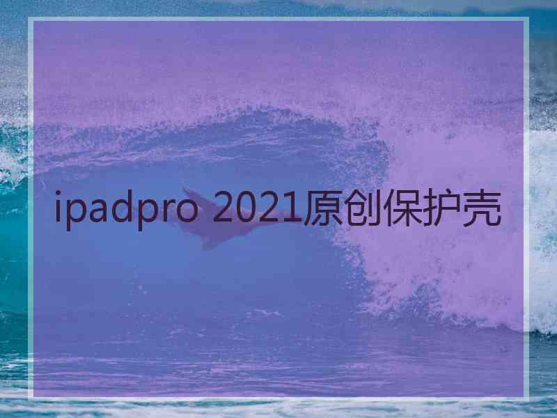 ipadpro 2021原创保护壳