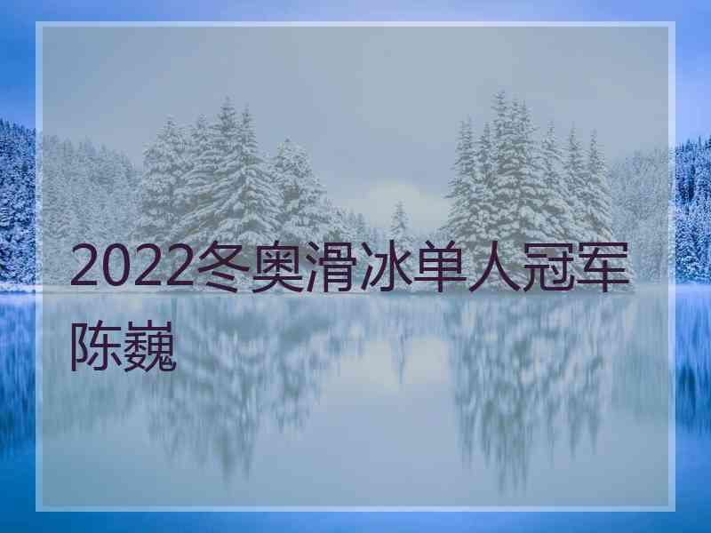 2022冬奥滑冰单人冠军陈巍