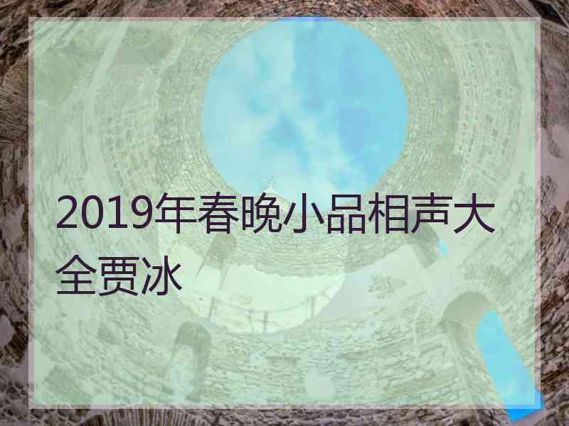 2019年春晚小品相声大全贾冰